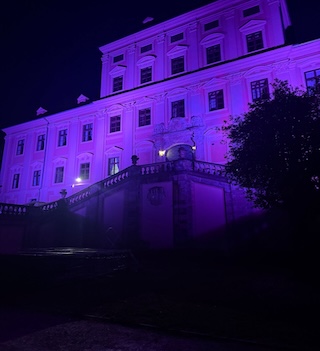 ZamekCervenyhradek